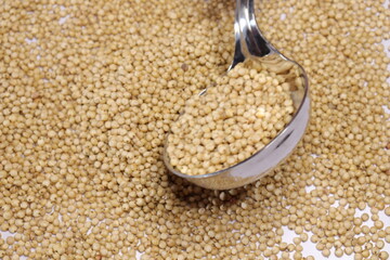 Organic jawar seeds isolated on white background