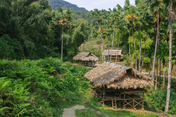 Landscape view of rice granaries outside an Adi tribe village among the lush forest of Arunachal Pradesh, India 