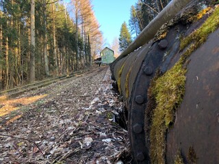 Sehr alte Pipeline im Wald mit Moos bedeckt wundervolle Natur im Wald