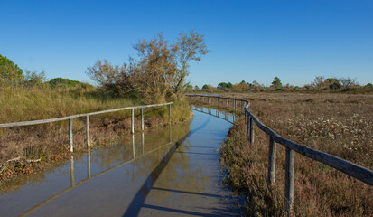 Autumn in the Botanical Garden of Porto Caleri, Italy. Trail flooded due to high tide. Fence reflecting in the water.