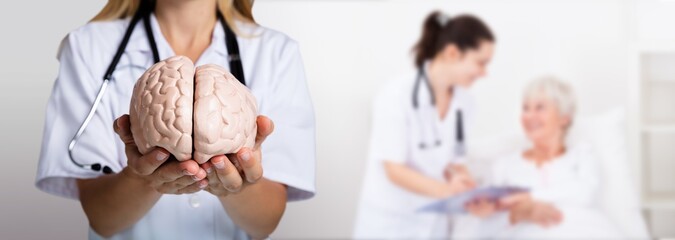 Doctor Holding Human Brain Model