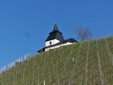 Laurentiuskapelle mit Baum, Weinbergen und Himmel im Winter in Trittenheim an der Mosel