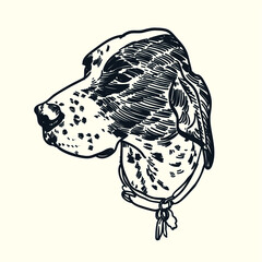Vintage hand drawn german shorthaired pointer dog head