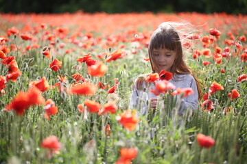 Little girl walks in a beautiful field of poppies