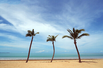 Khao Lak with coconut palm tree on clear white sand beach in Thailand