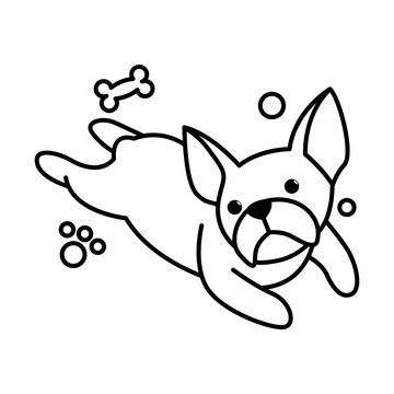 Black line vector illustration cartoon on a white background of a cute French Bulldog..