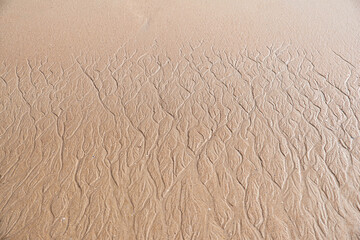 Wet sand texture with traces of water trickle