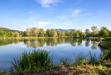 Ponds in Pogwizdów on a sunny summer afternoon