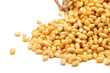 soybean isolated on white background