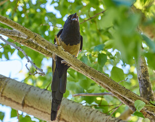 fortysomething something wants the mouth does not close