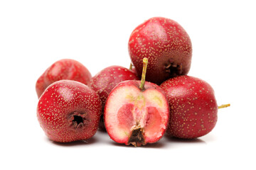 Hawthorn on a white background 