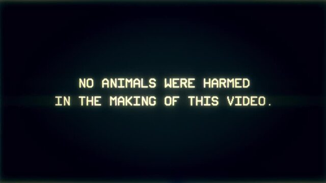 Intentional distortion fx: tracking a bad signal from an old damaged analog VHS tape, with the text No animals were harmed in the making of this video.
