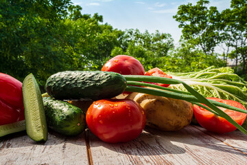Different vegetables with water drops on a plate on a wooden table in nature background.