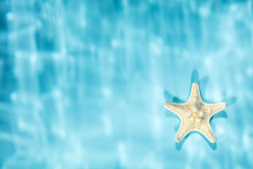 Fototapeta na wymiar White Starfish on blue background with underwater ripped shadows, top view, copy space