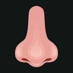 Nose Vector illustration, body parts vector.simple cool face nose vector design