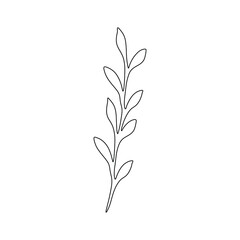 Sketch of plant. Vector element for design.
