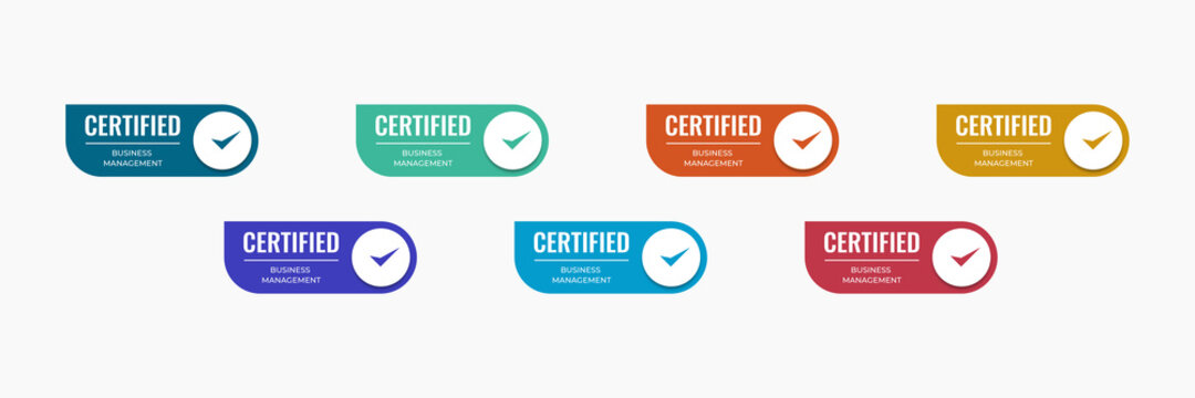 Certified Icon Badge Template With Category Business Profession. Certification Design Vector Illustration.