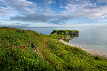 Seascape of the rocks at the coastline of Kraimorie, Burgas region, Bulgaria. The beautiful beach of the black sea with wild poppy flowers.