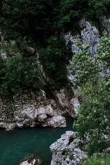 There are beautiful wild flowers and various herbs. Stormy clear transparent mountain river with bluish tinge from sky flows quickly through rocky gorge and washes away everything in its path.