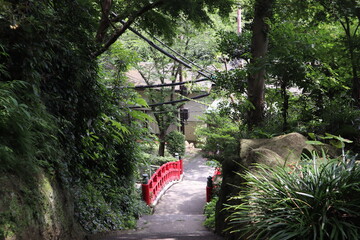 waterfall in the forest