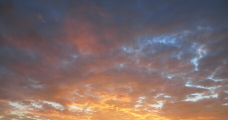 Clear blue sky. glowing pink, golden cirrus and cumulus clouds after storm, soft sunlight. Sunset...