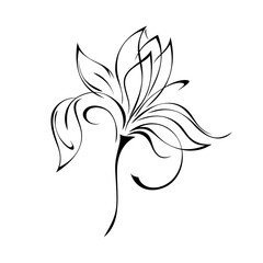 ornament 1828. one stylized flower with large petals on a short stalk in black lines on a white background