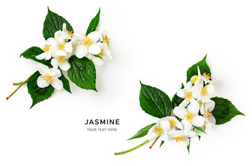 Jasmine flowers creative composition