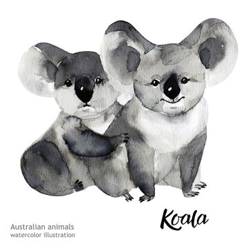 Australian animals watercolor illustration hand drawn wildlife isolated on a white background.
