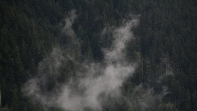 il movimento fluido delle nuvole durante un temporale che si spostano al di sopra di un bosco di montagna delle dolomiti