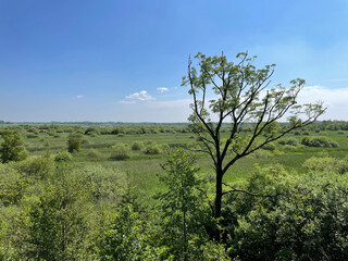 Scenery at De Alde Feanen National Park in Friesland