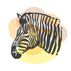 Zebra sketch portrait.. Hand drawn color illustration. Wild animal drawing