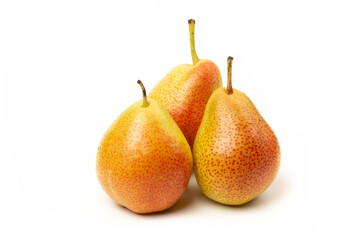 Three fresh trout pears are red and yellow isolated on a white background.