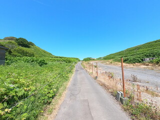 Fototapeta na wymiar 小樽の道、北海道