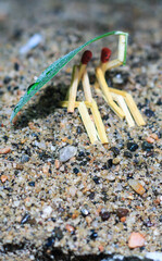 Matchstick art photography used matchsticks to create the character. Couple enjoying the rain. Matchstick couple.