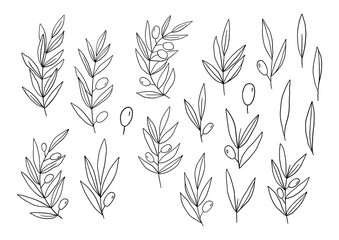 Line art olive set. Good for banner, poster, flyer, greeting card, web design, print design. Vector illustration.