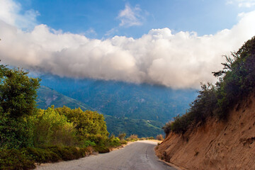 Narrow asphalt road in the park