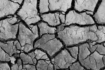 Photo of a drought ground