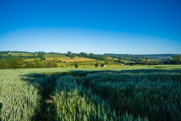 Paysage campagne 959