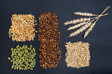 Ingredients for brewers. Pale ale, chocolate and caramel malt grains, green hops and wheat ears, close-up. Craft beer brewing from grain barley malt.