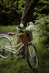 Fototapeta na wymiar retro bicycle in the woods