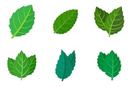 Mint icons set flat vector isolated