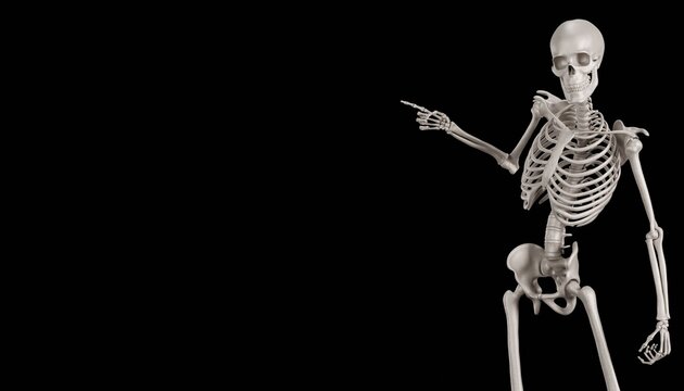 skeleton illustration posing 