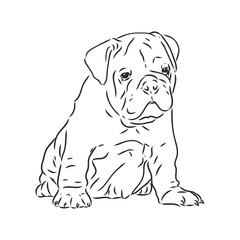 Line art of french bulldog with three difference of face