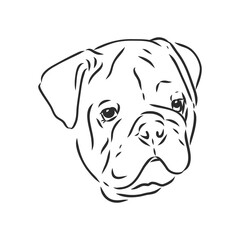Line art of french bulldog with three difference of face