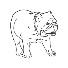 Line art of french bulldog with three difference of face