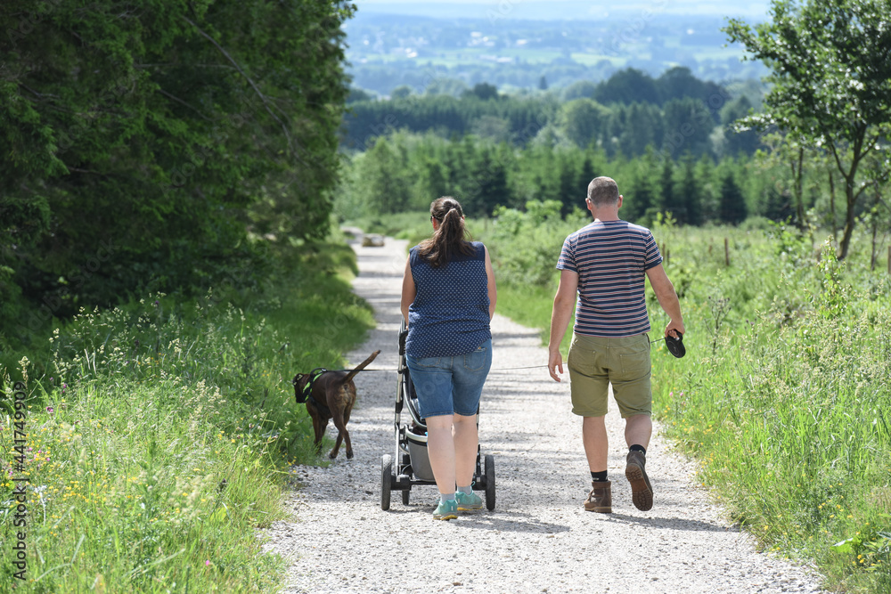 Wall mural belgique wallonie hautes fagnes paysage tourisme balade nature promenade environnement