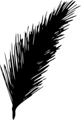 A feather on a white background. Vector bird feather. A single black feather. A simple illustration, a hand drawing. Decor for caps, covers, logo.