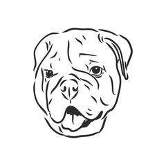 Line art of french bulldog with three difference of face