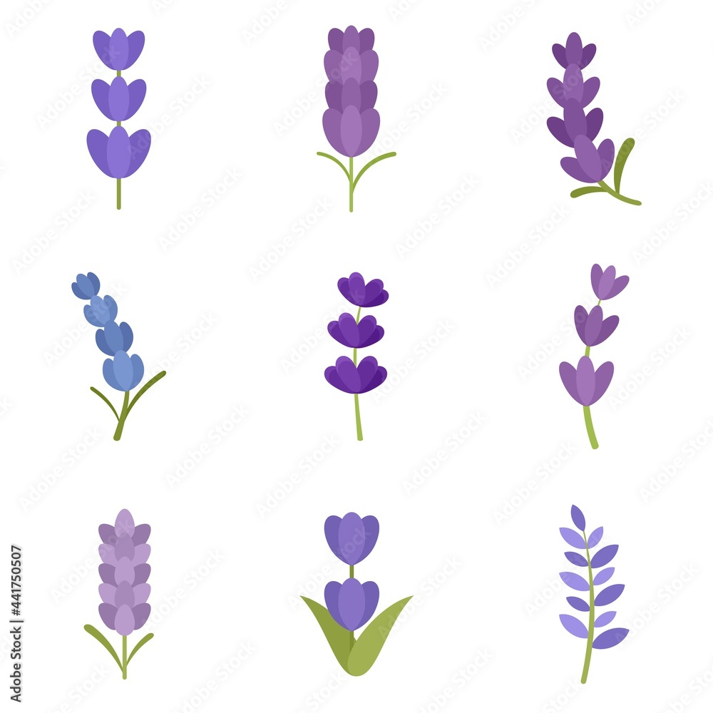 Wall mural Lavender icons set flat vector isolated