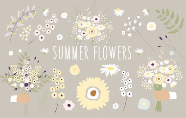 Fototapeta na wymiar Summer flowers. Set of vector flowers, in pastel colors for design, print, patterns, banner, poster, stickers, cards.